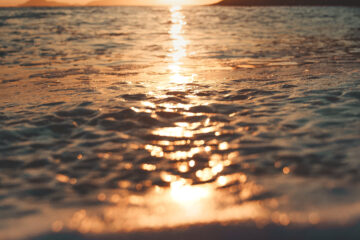 Sunlight Sea