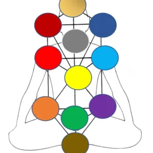 Embodying the Tree of Life - Advanced