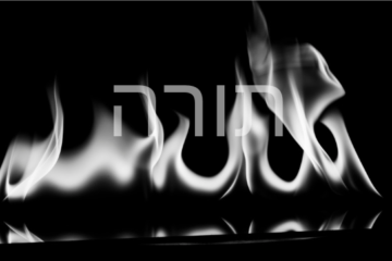 white fire on black fire